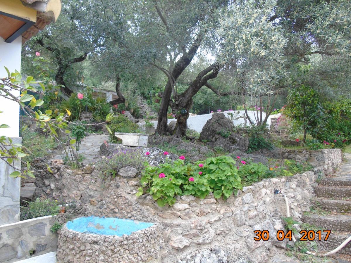 Casa El Cerro Villa El Bosque Dış mekan fotoğraf