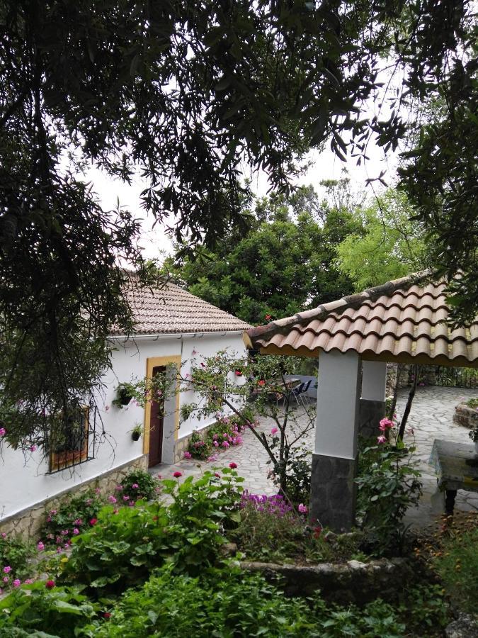 Casa El Cerro Villa El Bosque Dış mekan fotoğraf